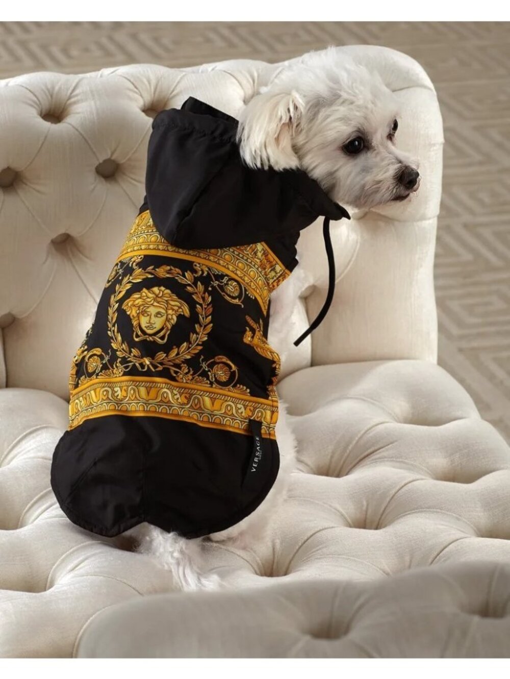 Versace Barocco Medusa Dog Rain Coat Jacket Hooded Black Gold Size M Italy